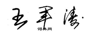 朱锡荣王军涛草书个性签名怎么写