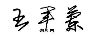 朱锡荣王军兰草书个性签名怎么写