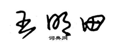 朱锡荣王明田草书个性签名怎么写