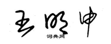 朱锡荣王明申草书个性签名怎么写