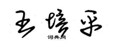 朱锡荣王培平草书个性签名怎么写