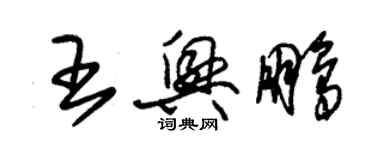 朱锡荣王兴鹏草书个性签名怎么写