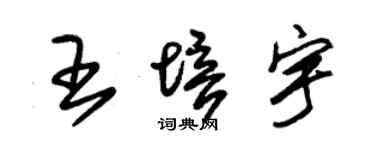 朱锡荣王培宇草书个性签名怎么写