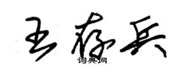 朱锡荣王存兵草书个性签名怎么写