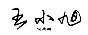 朱锡荣王小旭草书个性签名怎么写