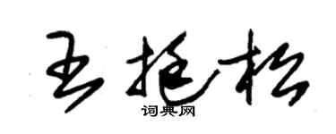 朱锡荣王挺松草书个性签名怎么写