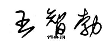 朱锡荣王智勃草书个性签名怎么写