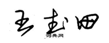 朱锡荣王武田草书个性签名怎么写