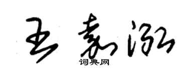 朱锡荣王嘉泓草书个性签名怎么写