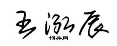 朱锡荣王泓辰草书个性签名怎么写