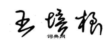 朱锡荣王培根草书个性签名怎么写