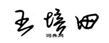 朱锡荣王培田草书个性签名怎么写