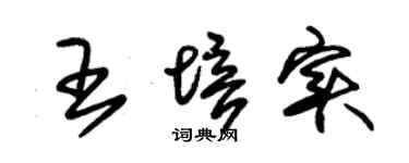 朱锡荣王培实草书个性签名怎么写