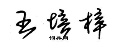 朱锡荣王培梓草书个性签名怎么写