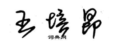 朱锡荣王培昂草书个性签名怎么写