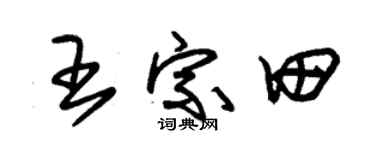 朱锡荣王宗田草书个性签名怎么写