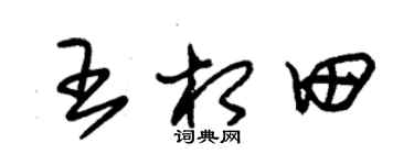 朱锡荣王相田草书个性签名怎么写