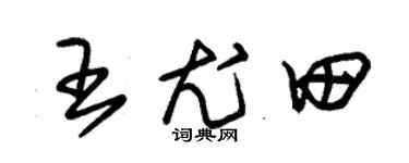 朱锡荣王尤田草书个性签名怎么写