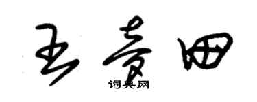 朱锡荣王梦田草书个性签名怎么写