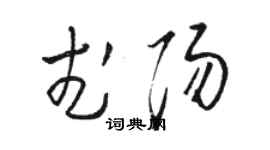 骆恒光武阳草书个性签名怎么写