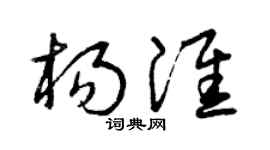 曾庆福杨淮草书个性签名怎么写