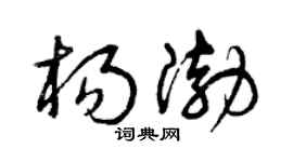 曾庆福杨渤草书个性签名怎么写