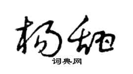 曾庆福杨甜草书个性签名怎么写