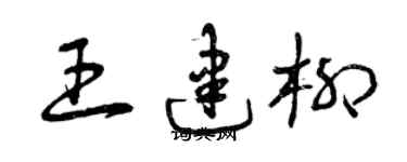 曾庆福王建柳草书个性签名怎么写