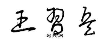 曾庆福王习兵草书个性签名怎么写