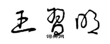 曾庆福王习明草书个性签名怎么写