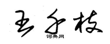 朱锡荣王千枝草书个性签名怎么写