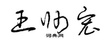 曾庆福王帅宏草书个性签名怎么写