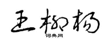 曾庆福王柳杨草书个性签名怎么写