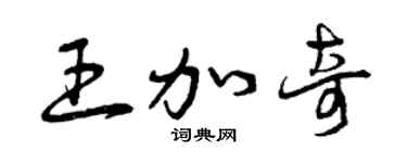 曾庆福王加奇草书个性签名怎么写