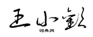 曾庆福王小欢草书个性签名怎么写