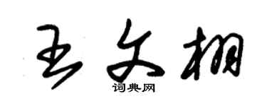 朱锡荣王文栩草书个性签名怎么写