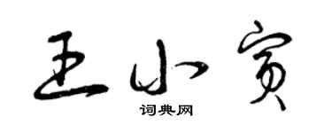 曾庆福王小宾草书个性签名怎么写