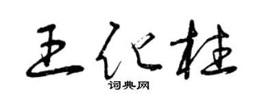 曾庆福王化柱草书个性签名怎么写