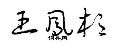 曾庆福王凤杉草书个性签名怎么写