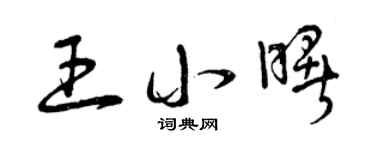 曾庆福王小曙草书个性签名怎么写