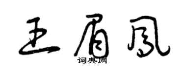 曾庆福王眉凤草书个性签名怎么写