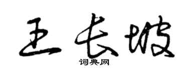 曾庆福王长坡草书个性签名怎么写