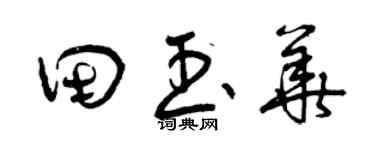 曾庆福田玉华草书个性签名怎么写