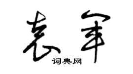 曾庆福袁军草书个性签名怎么写