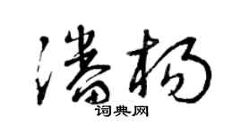 曾庆福潘杨草书个性签名怎么写