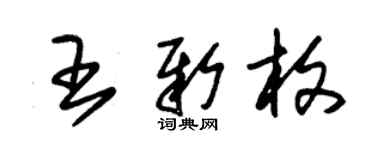 朱锡荣王新枚草书个性签名怎么写