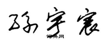 朱锡荣孙宇宸草书个性签名怎么写