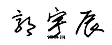 朱锡荣郭宇辰草书个性签名怎么写