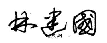 朱锡荣林建国草书个性签名怎么写