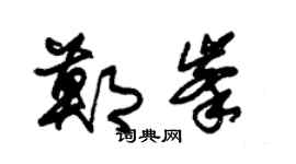 朱锡荣郑峰草书个性签名怎么写